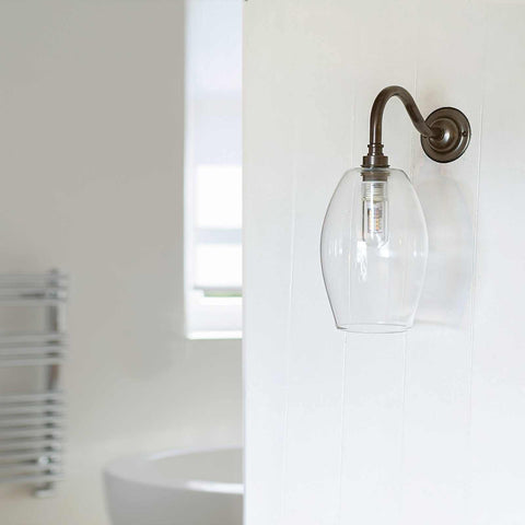 Camber small clear glass shade wall light with swan neck fitting for bathroom or outdoor use
