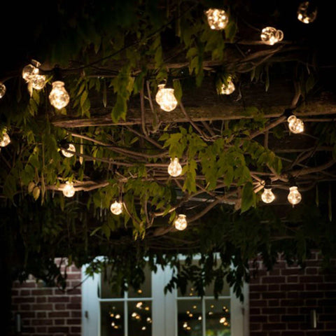 Classic Festoon 20 Bulbs warm outdoor string lights hanging on tree branches creating cozy garden ambiance