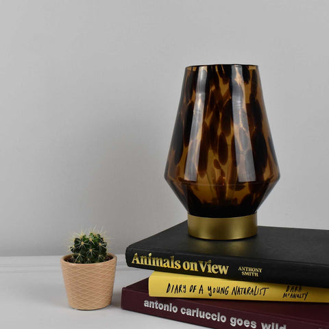 Osita Glass Cordless Table Lamp with tapered glass body and brown pattern on stacked books beside small cactus plant