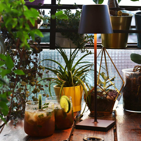 Zafferano Poldina Pro rechargeable dark grey table lamp on wooden table with plants and drinks nearby in cozy indoor setting