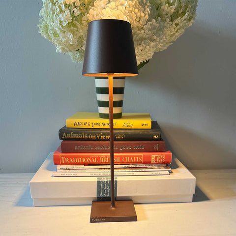 Zafferano Poldina Pro rechargeable rust-colored table lamp with sleek design on stacked books and a green-striped vase with white flowers in the background