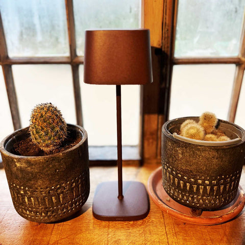 Zafferano Ofelia Pro Rechargeable Table Lamp with modern touch dimmer and warm brown shade, placed on wooden surface between two potted cacti.