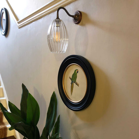 Camber Medium Ribbed Glass wall light with fluted glass shade mounted on a beige wall above a framed parrot artwork and green plants near stairs