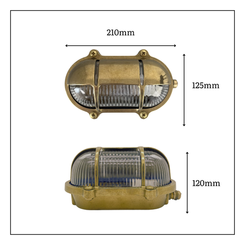 Palaemon North Bulkhead Outdoor Wall Light