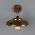 Darya Brass Outdoor Wall Light Antique Brass