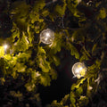 String lights hanging among green leaves at night