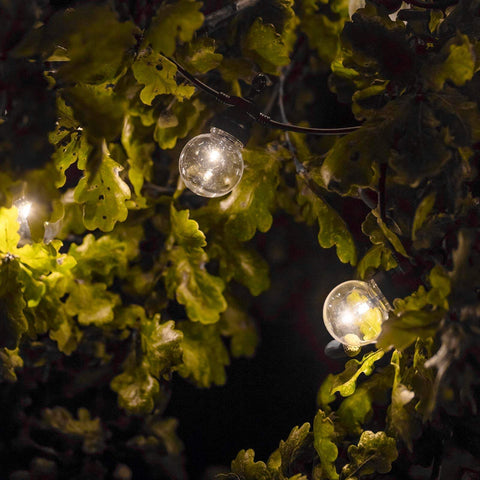 String lights hanging among green leaves at night