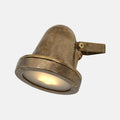 Thames Outdoor Spot Light in raw brass finish with adjustable swivel and weatherproof design for garden and patio lighting
