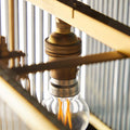 Close-up of the Pooky Odin Chandelier pendant light with golden brass fixture and filament bulb detail