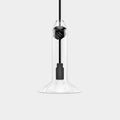 Contemporary small clear glass pendant light with hand-blown shade and black knot detail