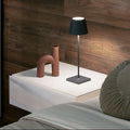 Zafferano Poldina Pro rechargeable dark grey minimalist table lamp on bedside table with decorative vase and wooden wall background
