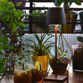Zafferano Poldina Pro rechargeable rust-colored table lamp on wooden surface surrounded by plants and drinks