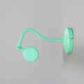Coloured Dublin Picture Light 35.5cm adjustable brass wall light in pastel green for highlighting artwork