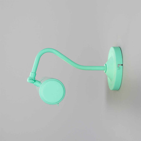 Coloured Dublin Picture Light 35.5cm solid brass adjustable wall light in mint green finish