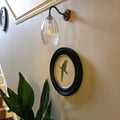 Camber Medium Ribbed Glass wall light with fluted glass shade mounted on beige wall above framed parrot artwork and near green plants in hallway