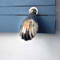 Hadlow Adjustable Brass Shell Wall Light with vintage shell design mounted on blue wooden panel
