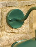 Close-up of Classic Steel Swan Neck Light Backplate